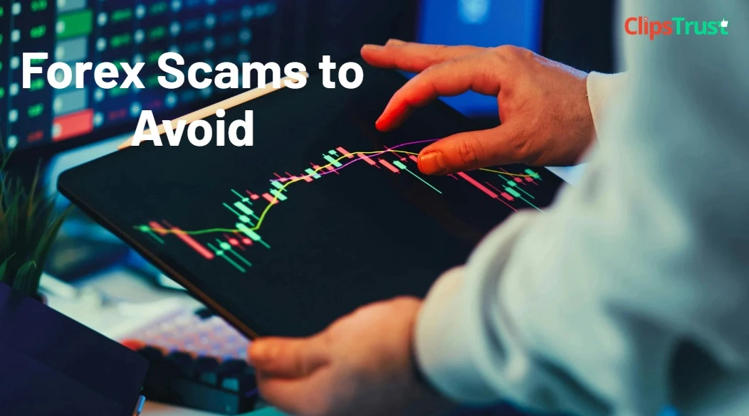 Forex Scams to Avoid : List, Steps & Broker Verification